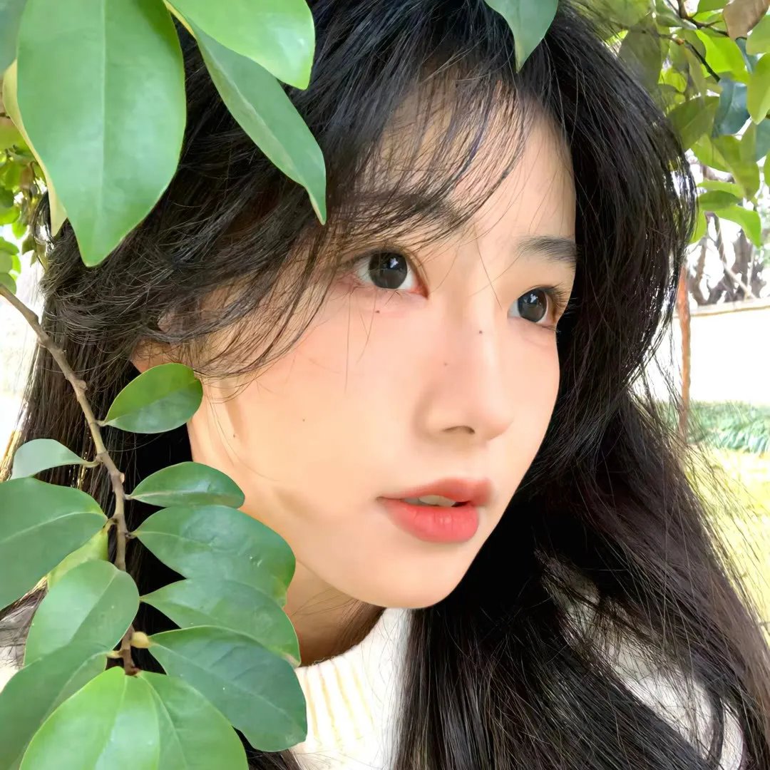 朗读者第二季