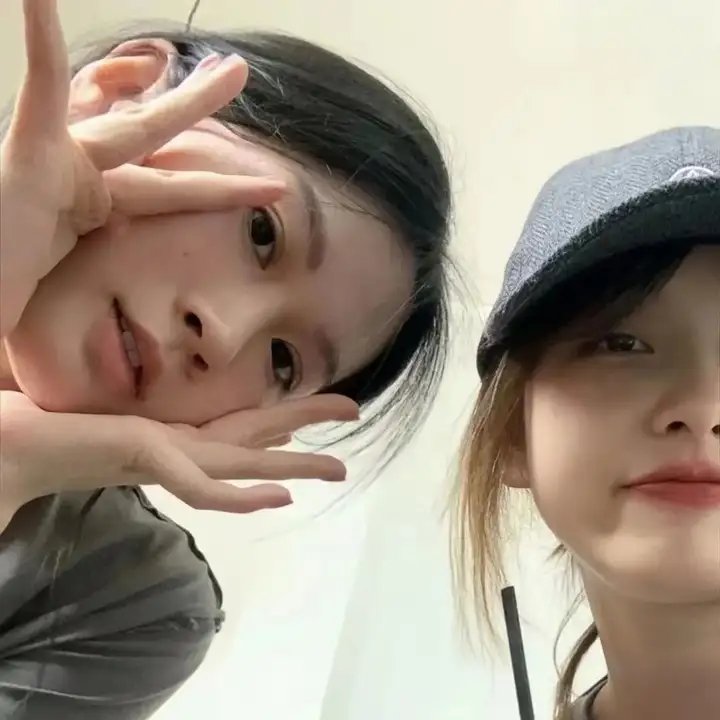 哈莱姆的郁金香