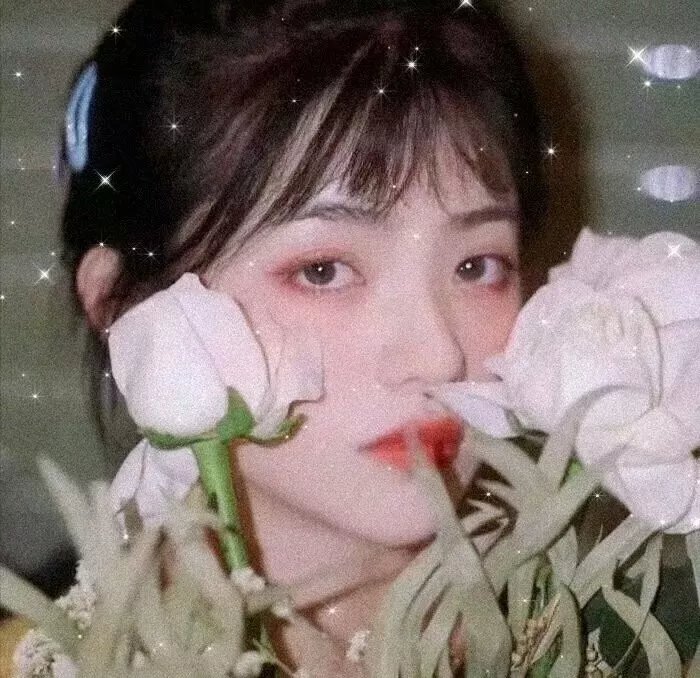 大白真相